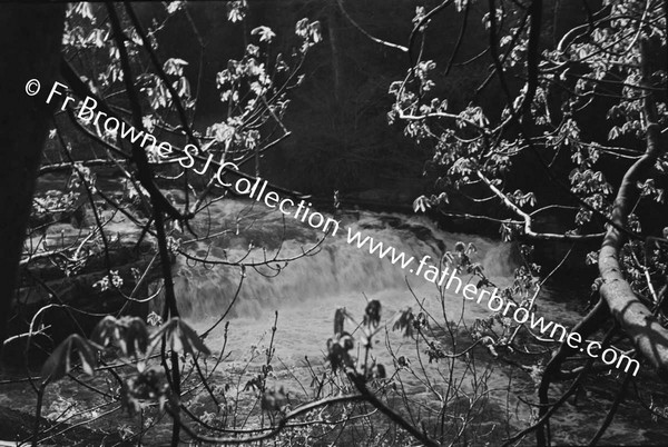 RIVER LIFFEY WEIR AT LEIXLIP